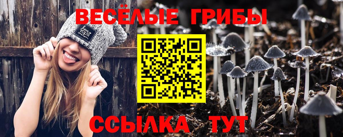 Курчалой  Галлюциногенные грибы мухоморы  Вход с VPN 
